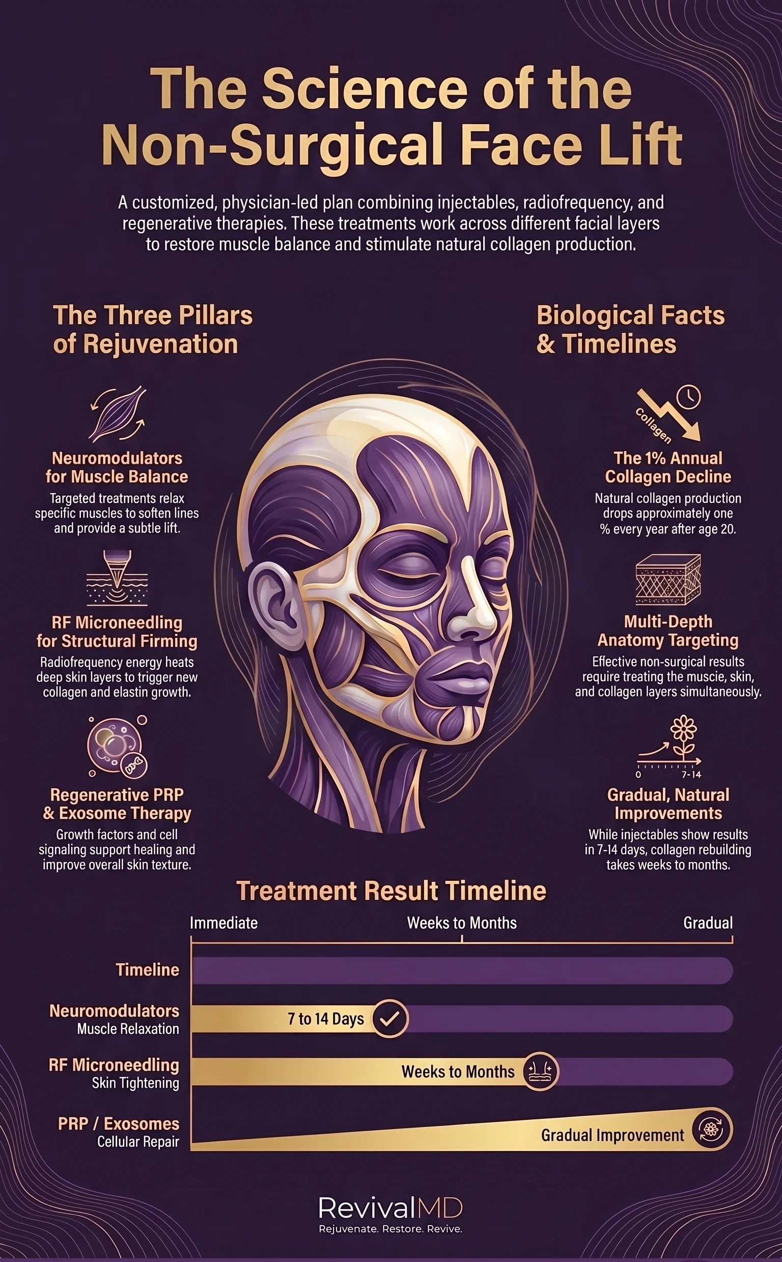 Non-Surgical Face Lift Options in NJ infographic